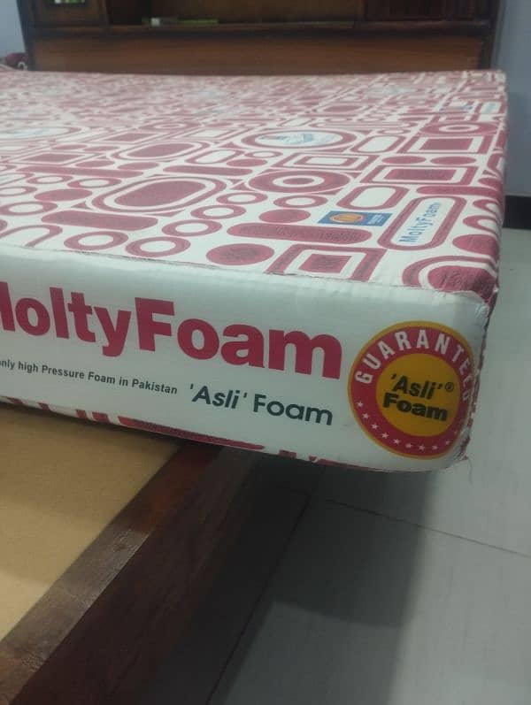 Master Molty  No. 1 Quality foam 4