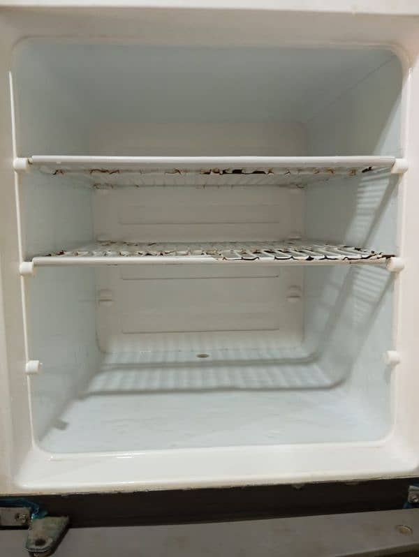 Electrolux fridge 6