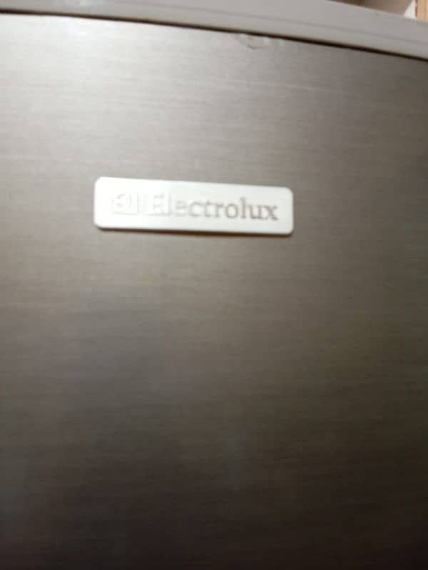 Electrolux fridge 10