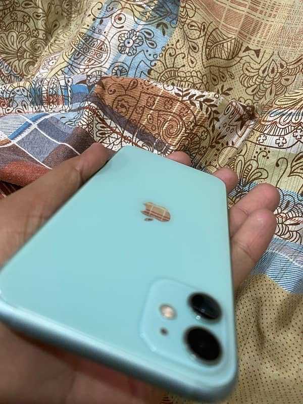 IPhone 11 (Green) 3