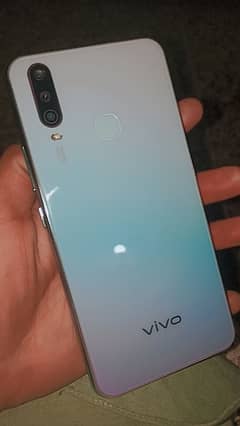 vivo