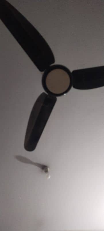 Sell Fancy Fan 1