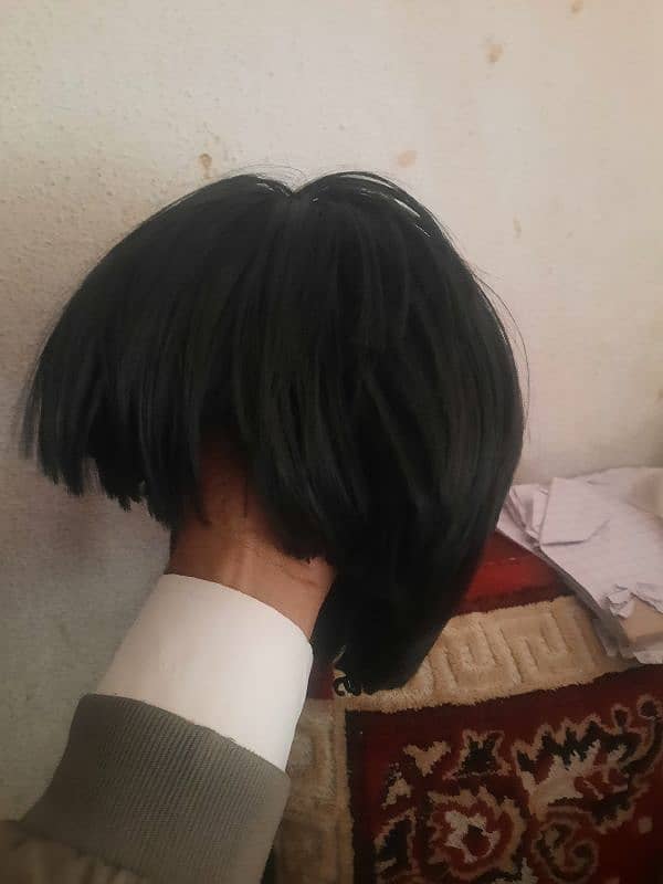 hair wig 1