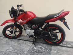 Ybr125