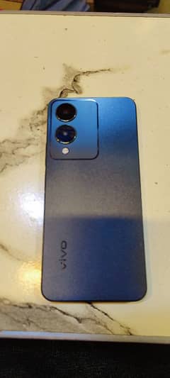 vivo