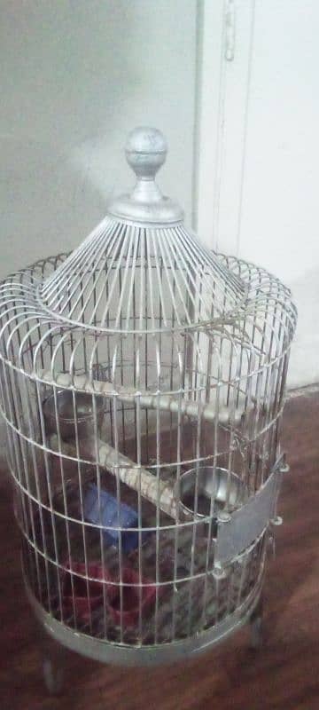 parrots and birds cage 3