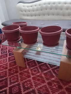 plastic plants pots