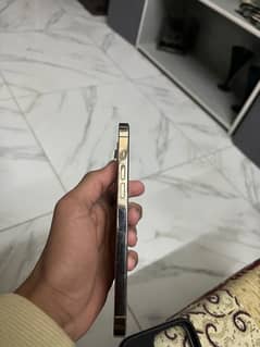 iphone 14 pro max golden colour 128 gb JV