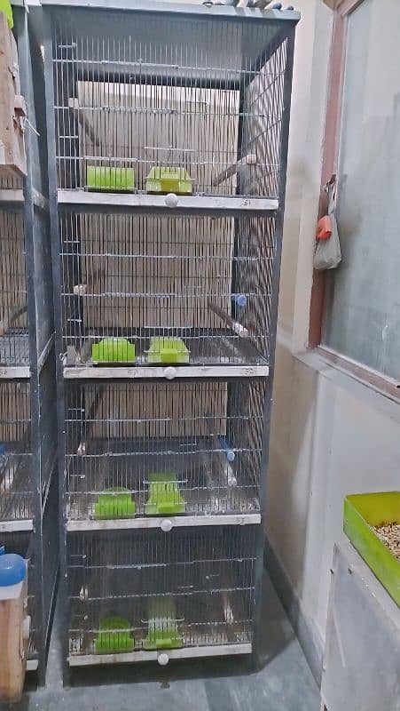 4 portion Cage for Bird 1