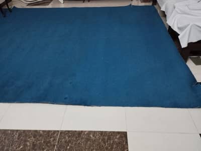 Dark Blue Wall to Wall Carpet