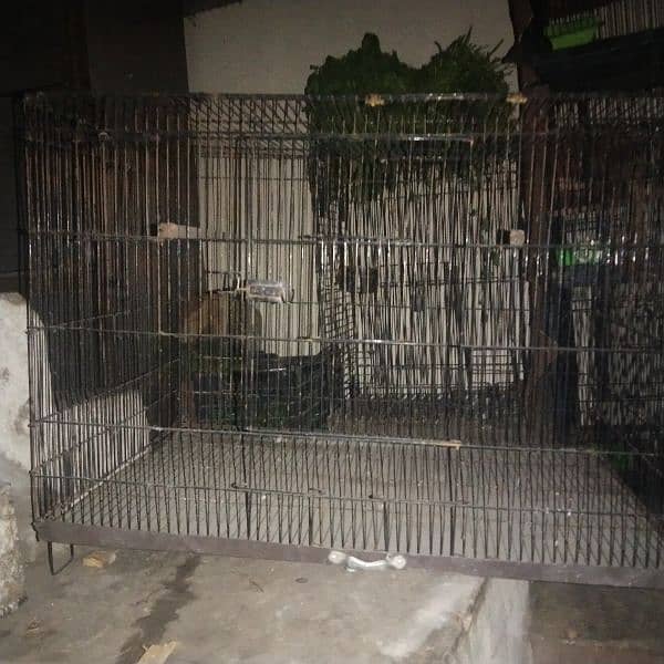 cage for sale hight 2 fit chorie 2 fit Lambie 3 fit 0