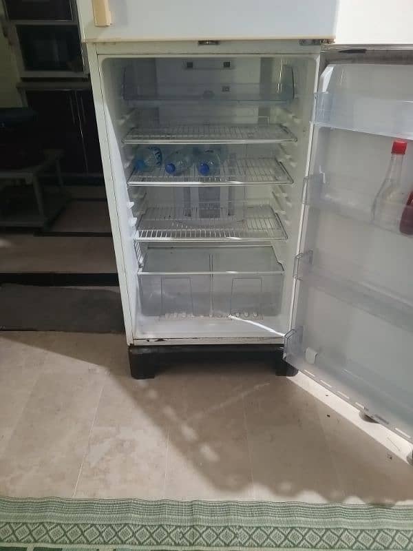 full size freezer 3