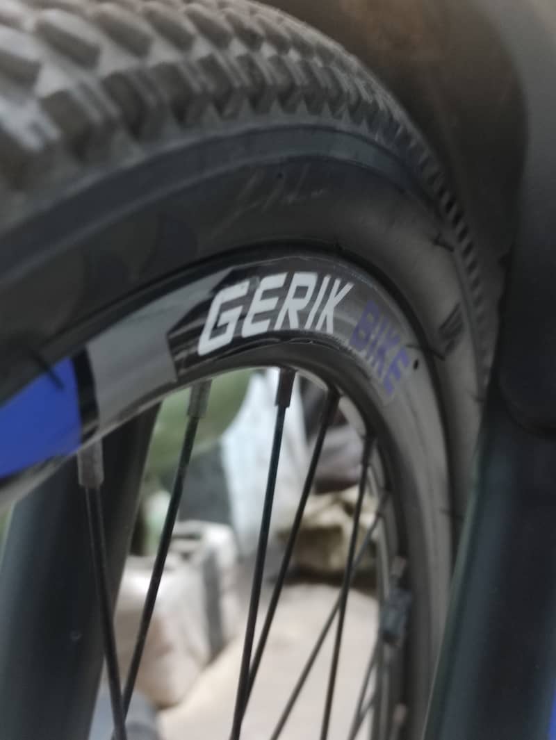 Gerik Gear Cycle 2