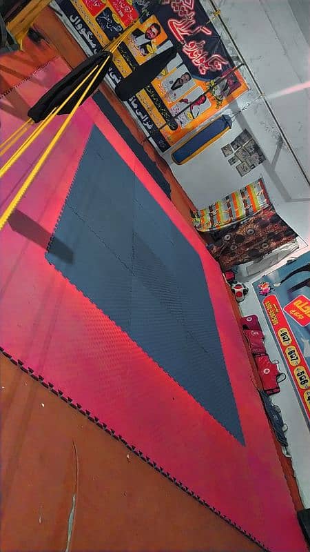 Taekwondo mat for sale 0