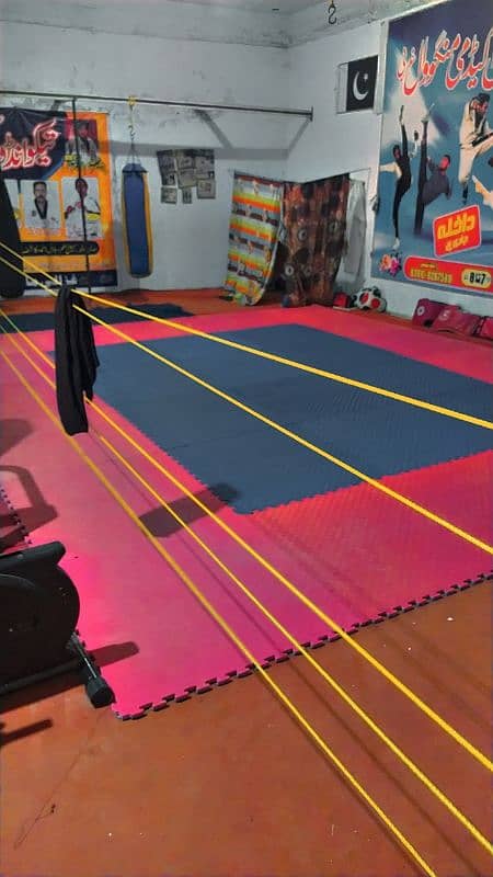 Taekwondo mat for sale 1