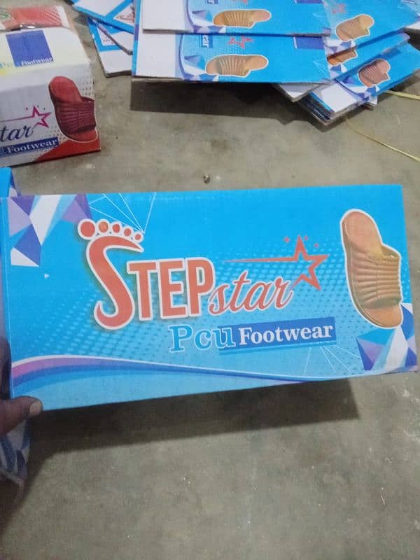 Step Star Footwear 2