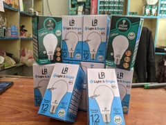 12 Watt Led Bulb