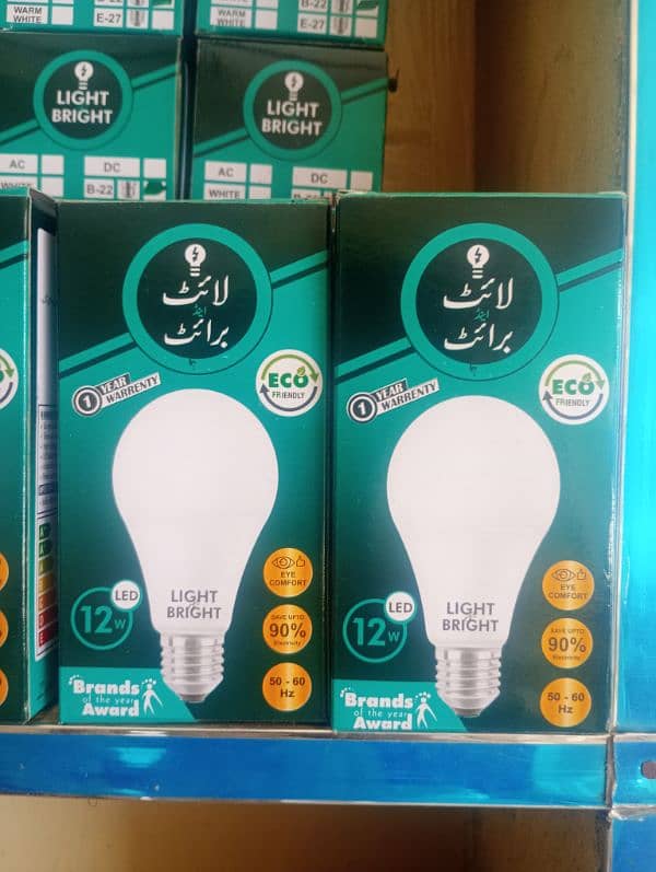 12 Watt Led Bulb 1