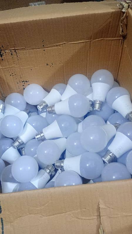 12 Watt Led Bulb 2