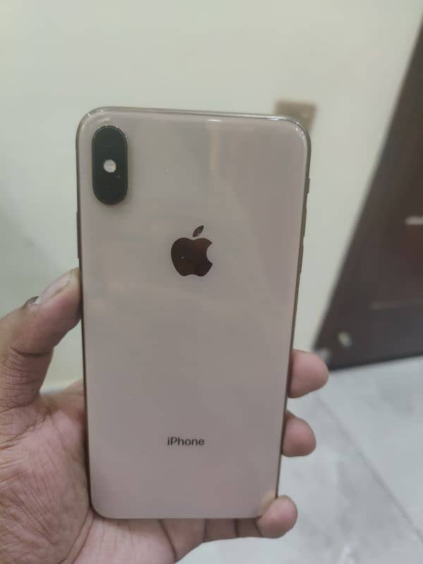 xs max 256 Gb PTA 0