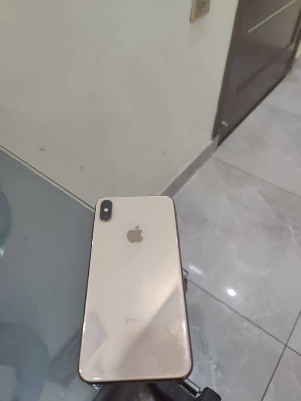 xs max 256 Gb PTA 1