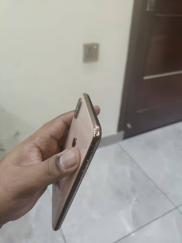 xs max 256 Gb PTA 4