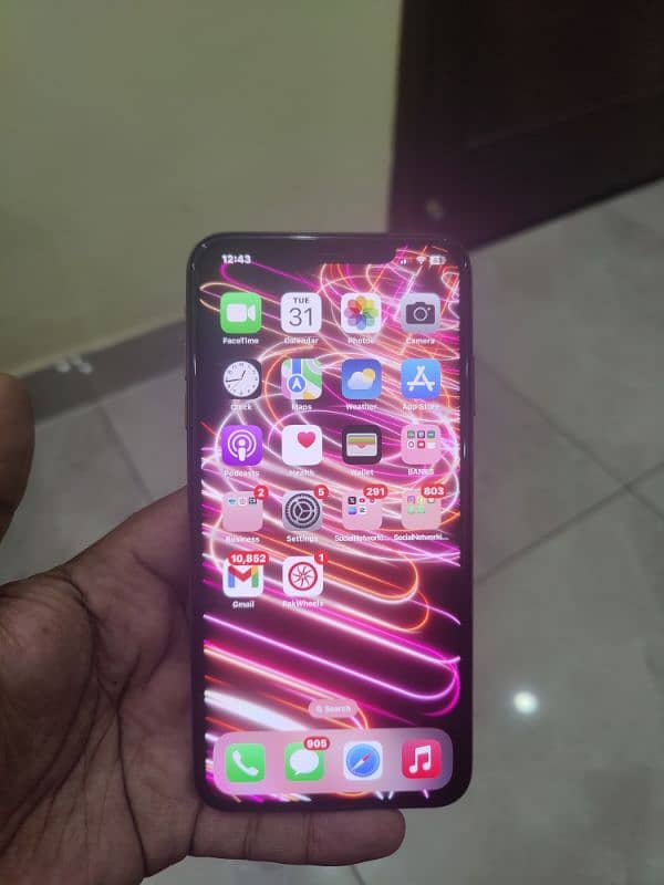 xs max 256 Gb PTA 5