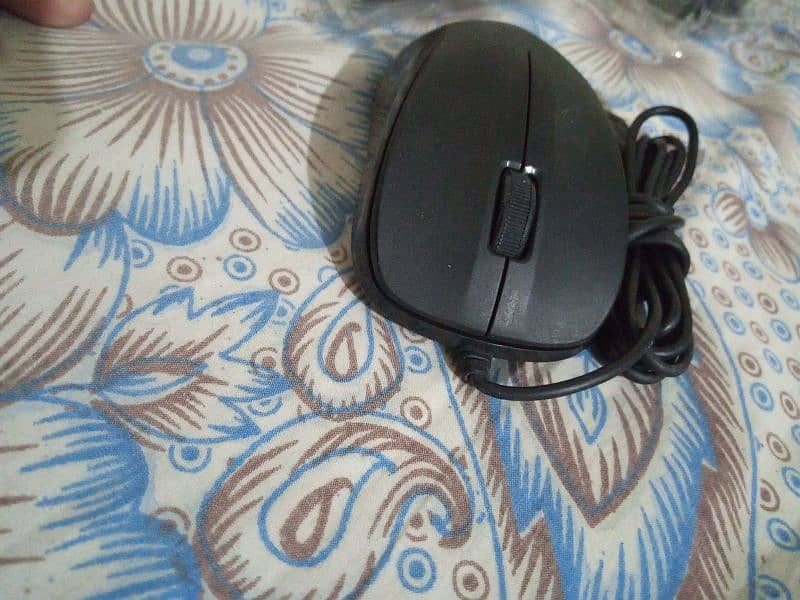 i am salling used like new branded mouse in cheap price 2