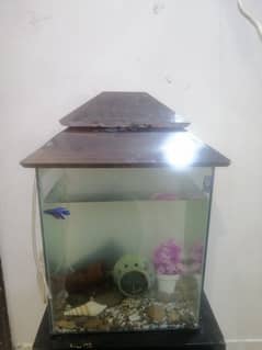 aquarium for sale in best condition