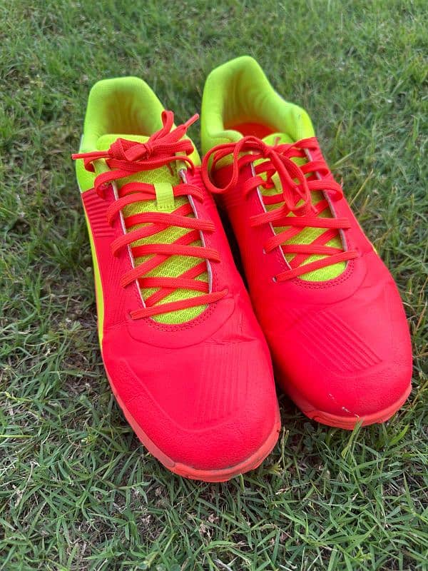 Puma spikes 19.2 Red Blast-Yellow Alert 4