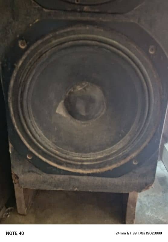 12Inch And 10inch Speaker With Amplifier 2