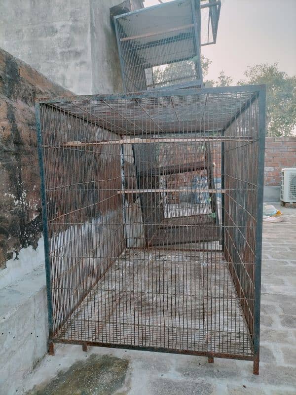 Cage for Hen & Birds 0