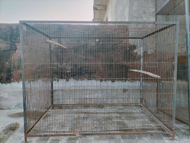 Cage for Hen & Birds 1