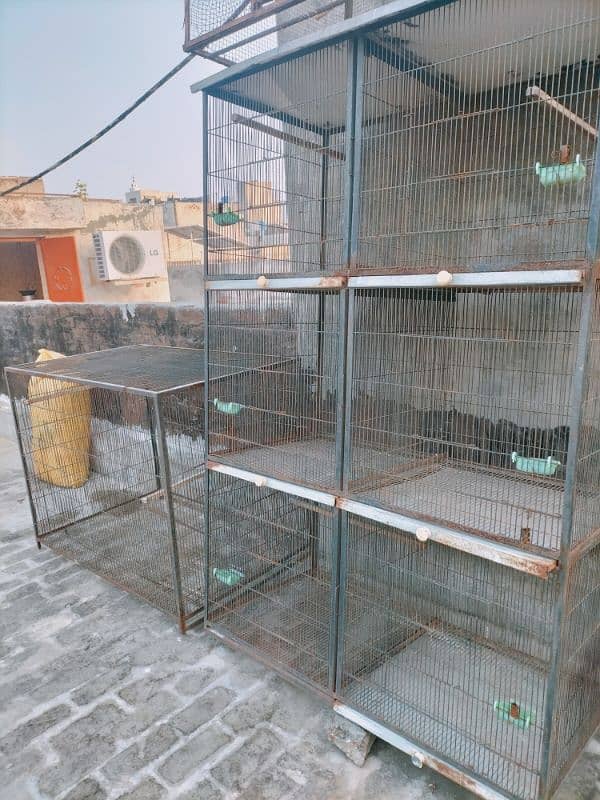 Cage for Hen & Birds 3