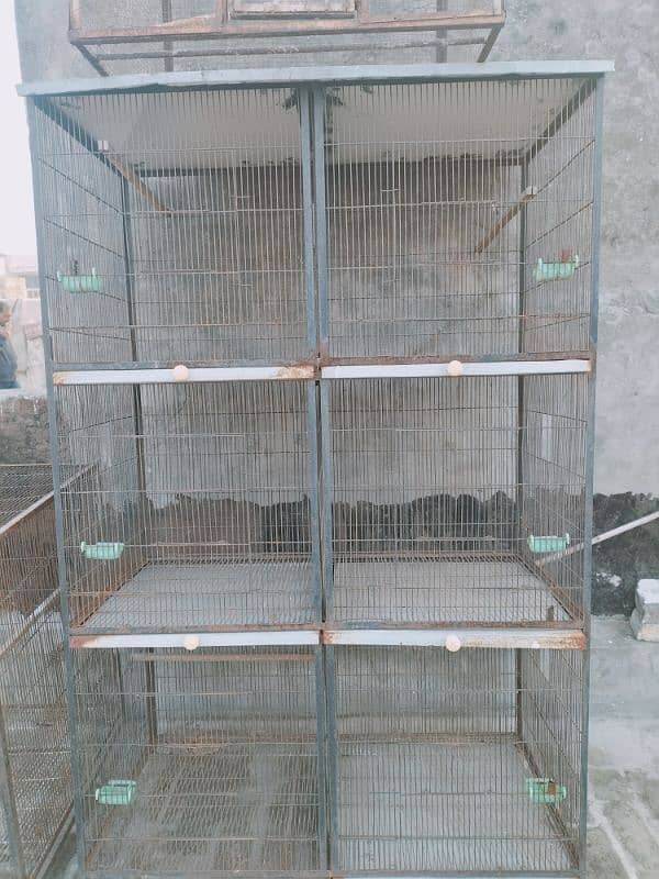 Cage for Hen & Birds 4