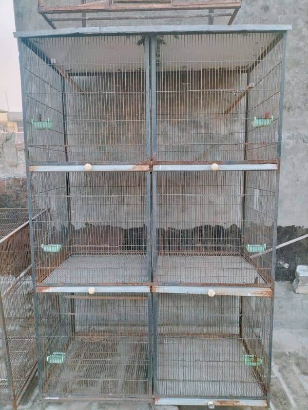 Cage for Hen & Birds 5