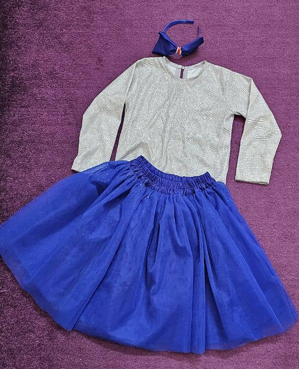 Beautiful fairy skirt with shimmer blouse 0