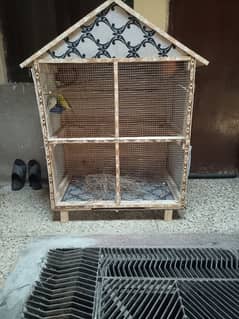 Cage with Budgie