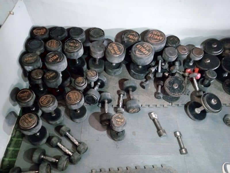 gym dumbbells for sale 0