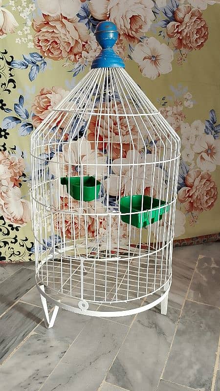 Beautiful bird cage 03428273343 3