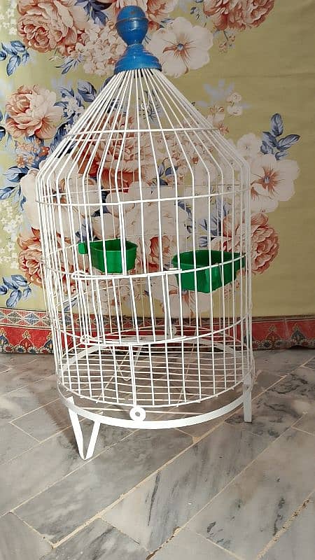 Beautiful bird cage 03428273343 4