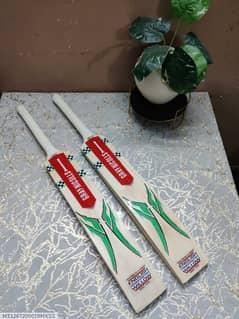 Hard Ball Cricket Bat