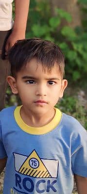 Tauqeer Zia