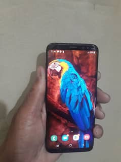 Samsung s8 4gb ram 64gb memory