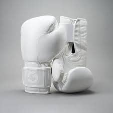 Premium  Grappling Boxing Gloves for Martial Sparring and Punching Bag 0