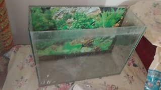 Aquarium for sale what's aap NUM 03065552120