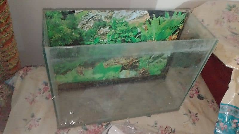 Aquarium for sale what's aap NUM 03065552120 0