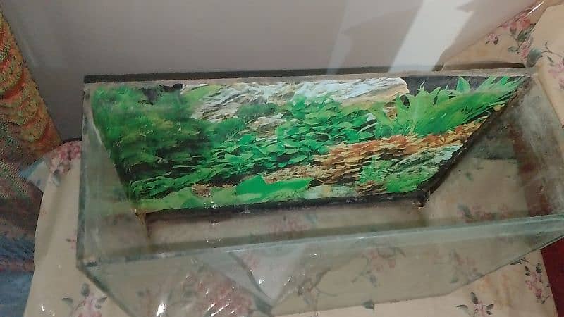 Aquarium for sale what's aap NUM 03065552120 1