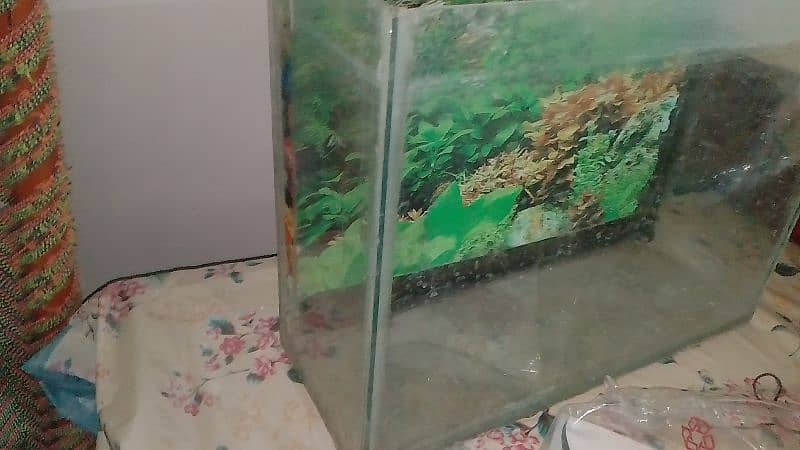 Aquarium for sale what's aap NUM 03065552120 2