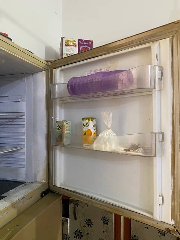 Pel Refrigerator 1